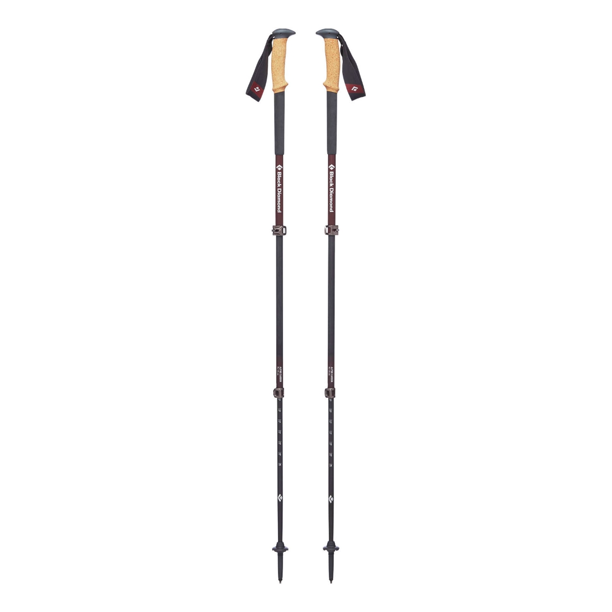 cork trekking poles